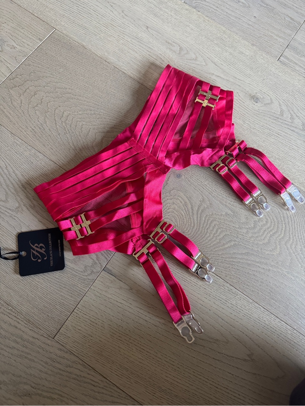 NWT Honey Birdette Linda C Raspberry Garter Belt